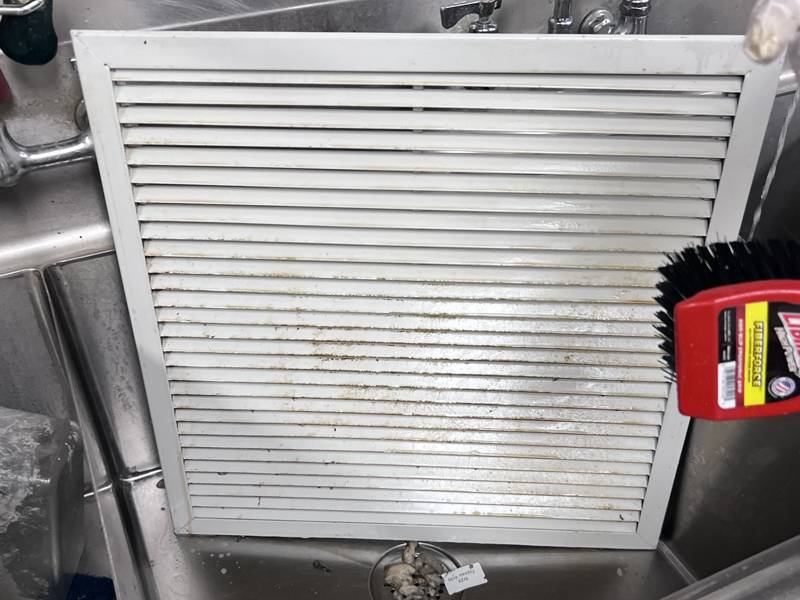 Kitchen grille scrubbed in the sink